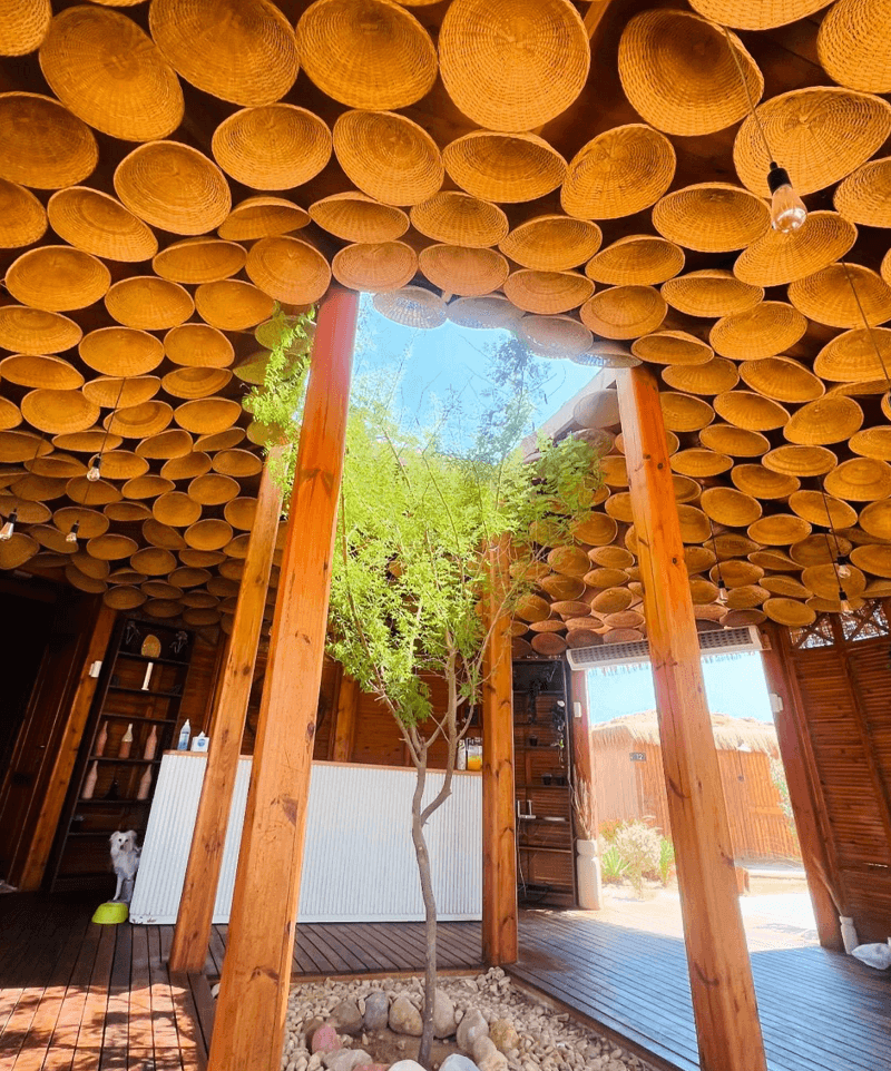 Fishing Trips from Porto Sokhna Marina