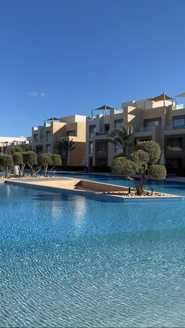 Lively apartment at Mangroovy